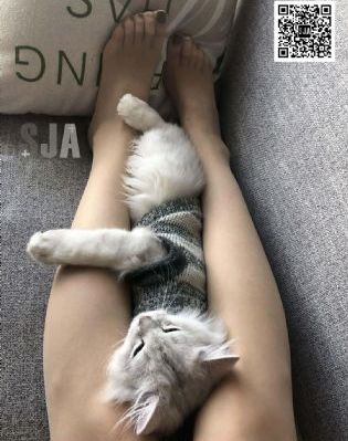 替嫁医女