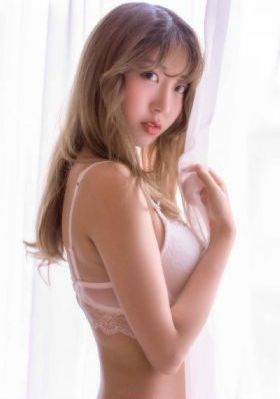 新人皮灯笼